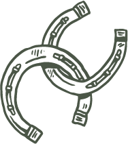 Rohweder Pferdezahntierarzt