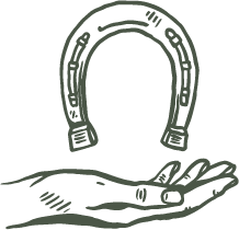 Rohweder Pferdezahntierarzt