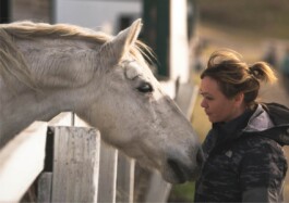 Rohweder Pferdezahntierarzt